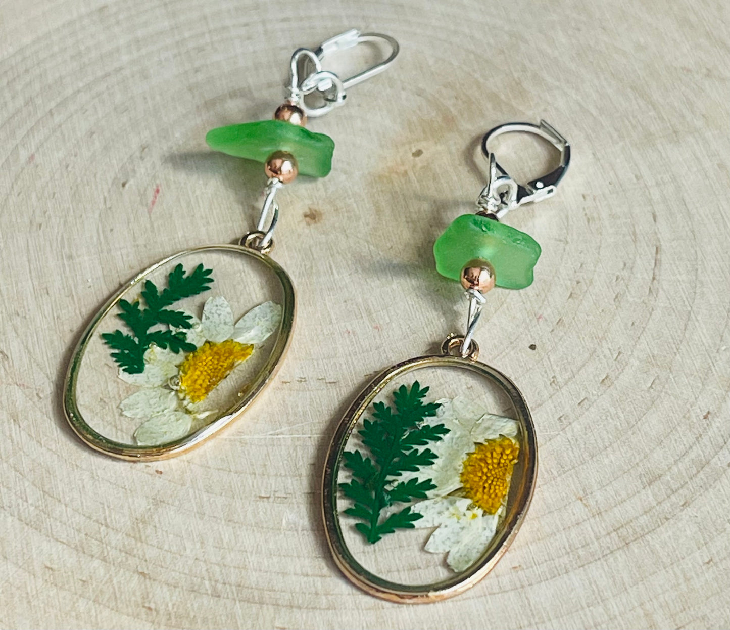 Genuine pressed daisy flower earrings with Lake Michigan green beach glass