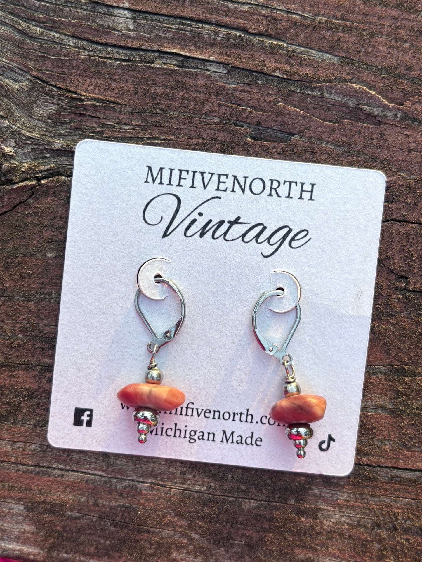 Michigan Kona Dolomite Stone & Stainless Steel Earrings