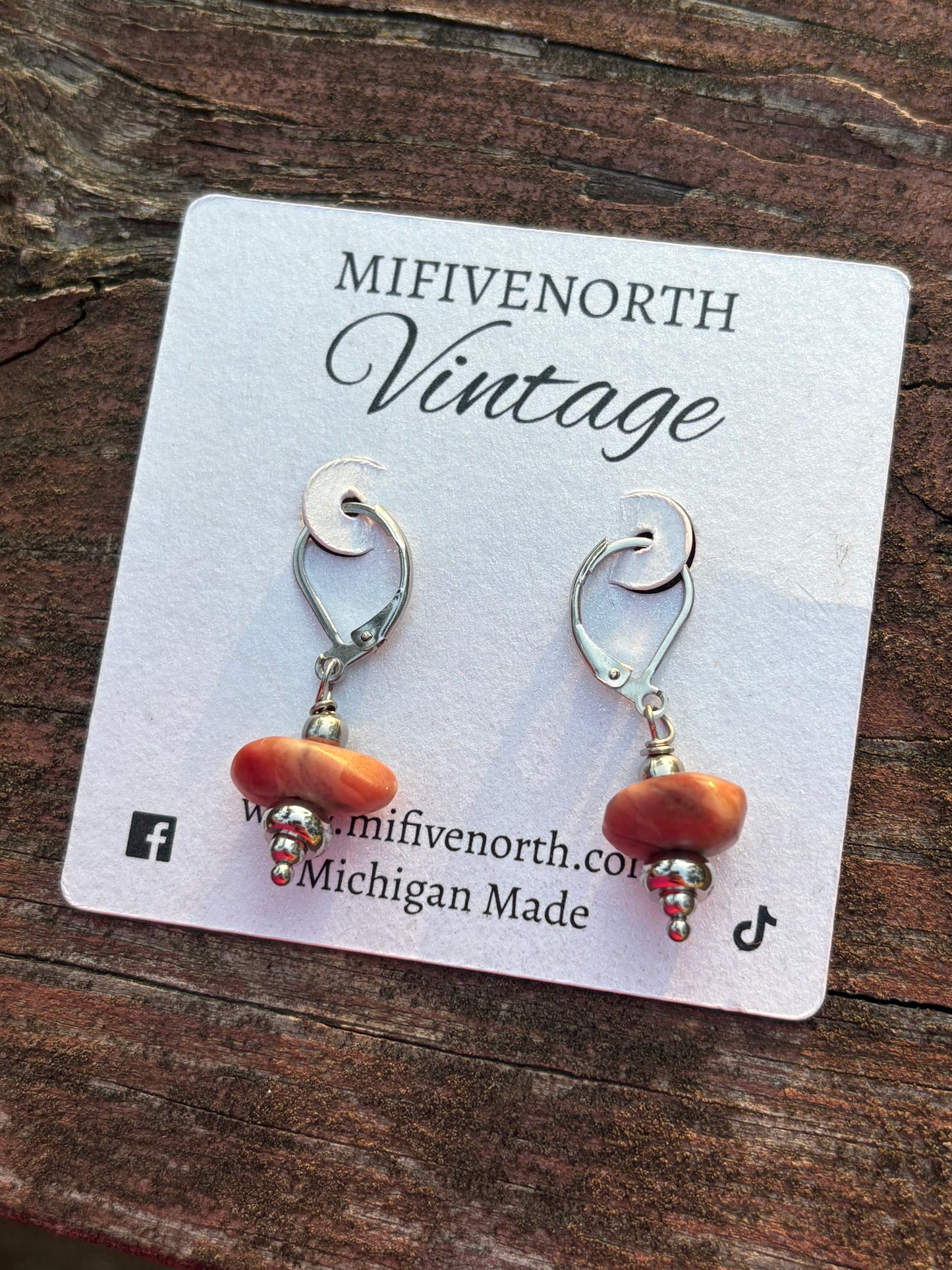 Michigan Kona Dolomite Stone & Stainless Steel Earrings