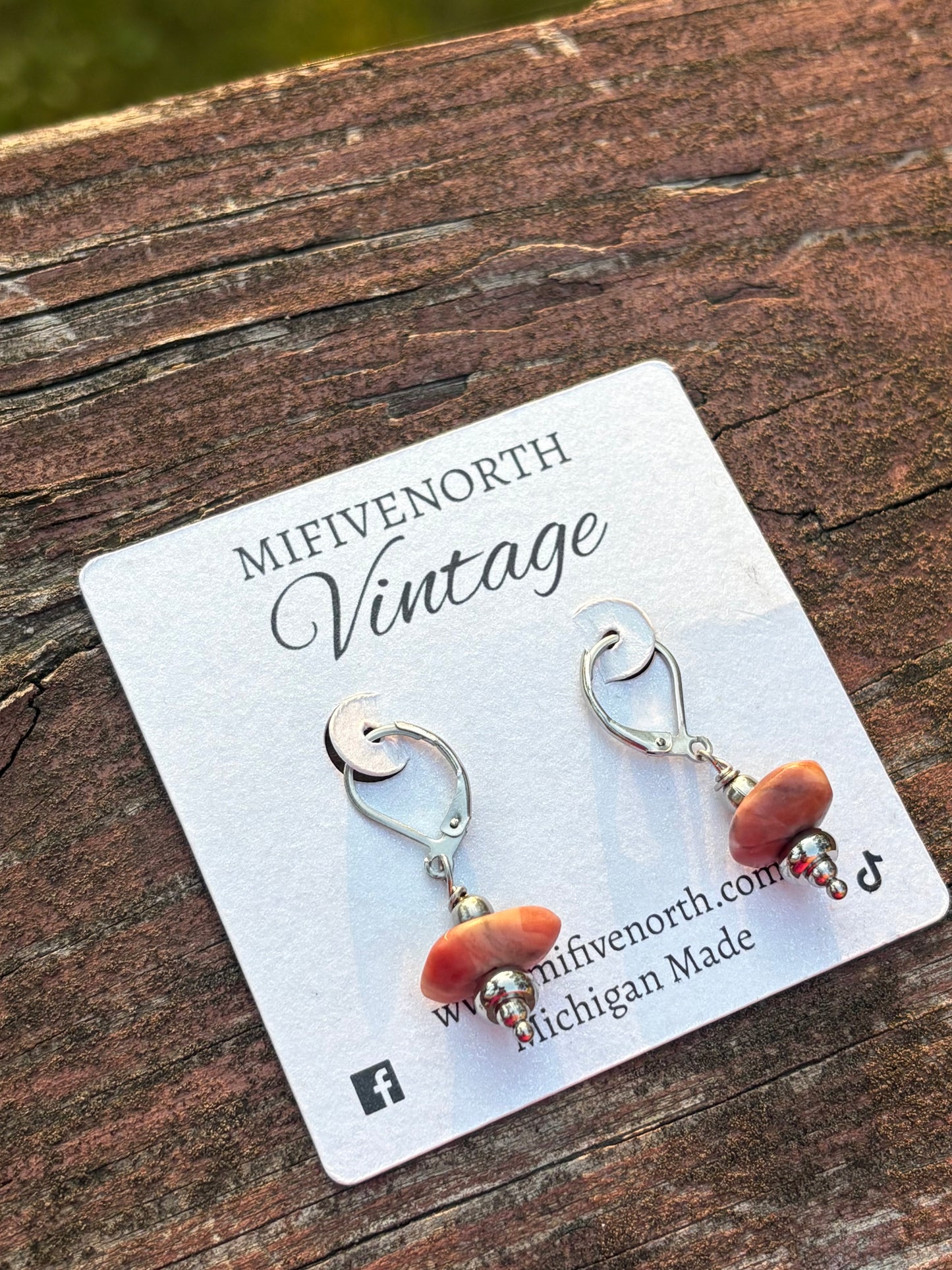 Michigan Kona Dolomite Stone & Stainless Steel Earrings