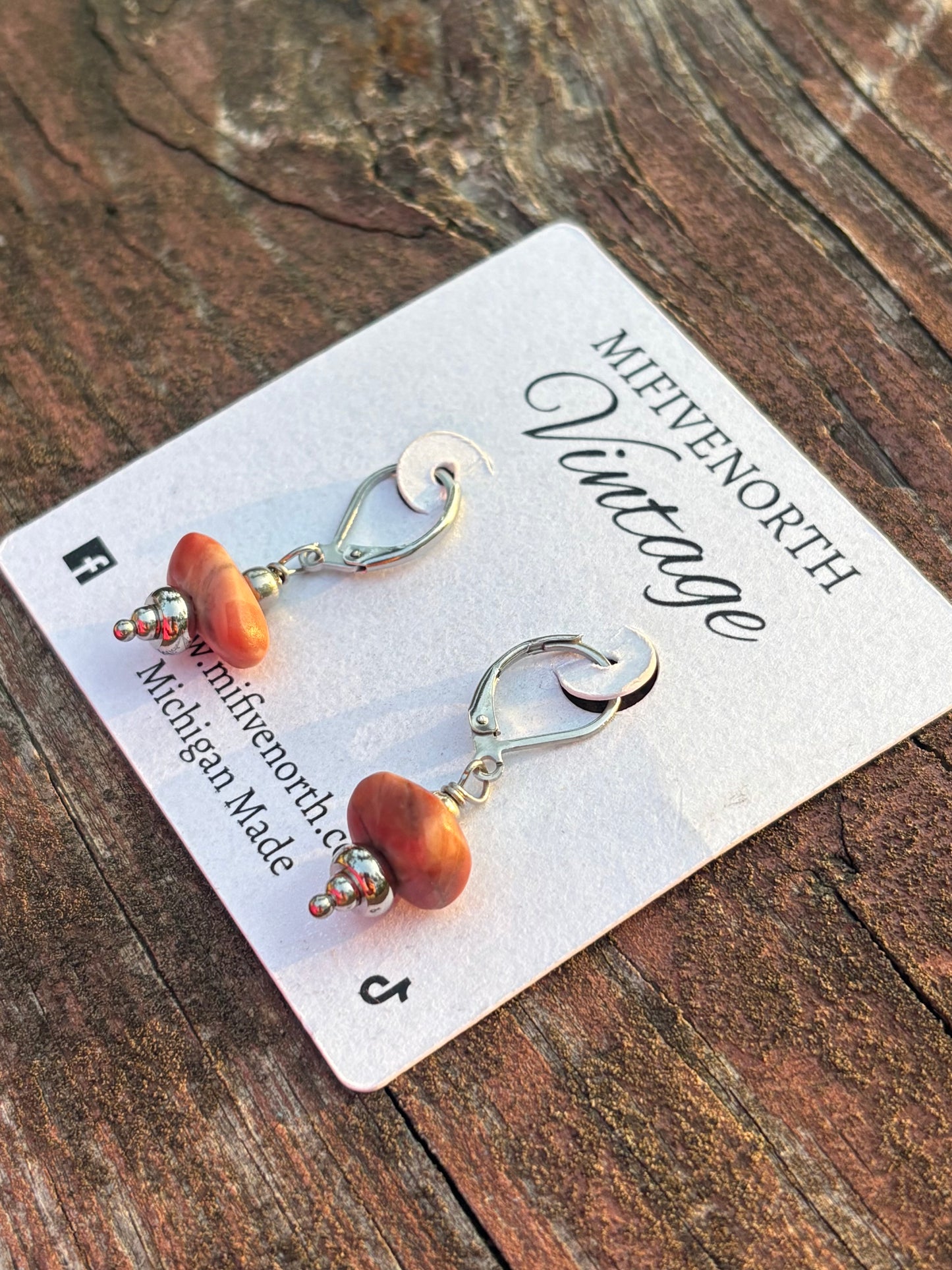 Michigan Kona Dolomite Stone & Stainless Steel Earrings