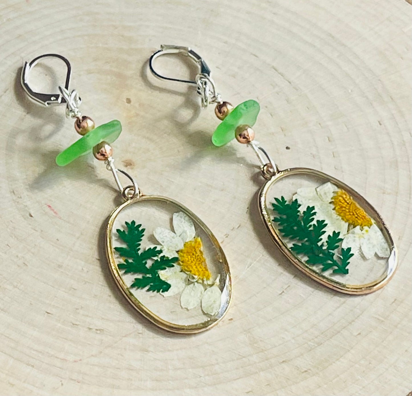 Genuine pressed daisy flower earrings with Lake Michigan green beach glass