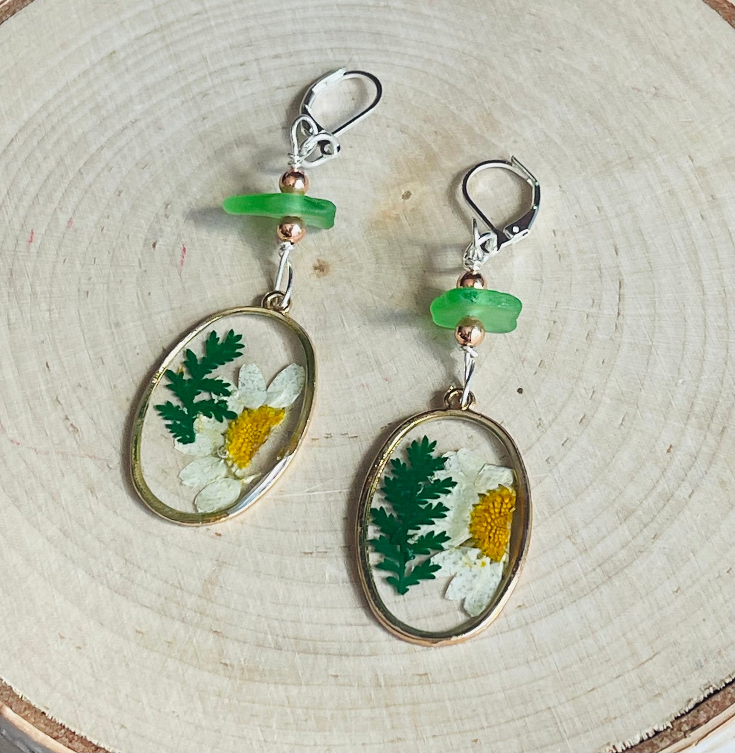 Genuine pressed daisy flower earrings with Lake Michigan green beach glass