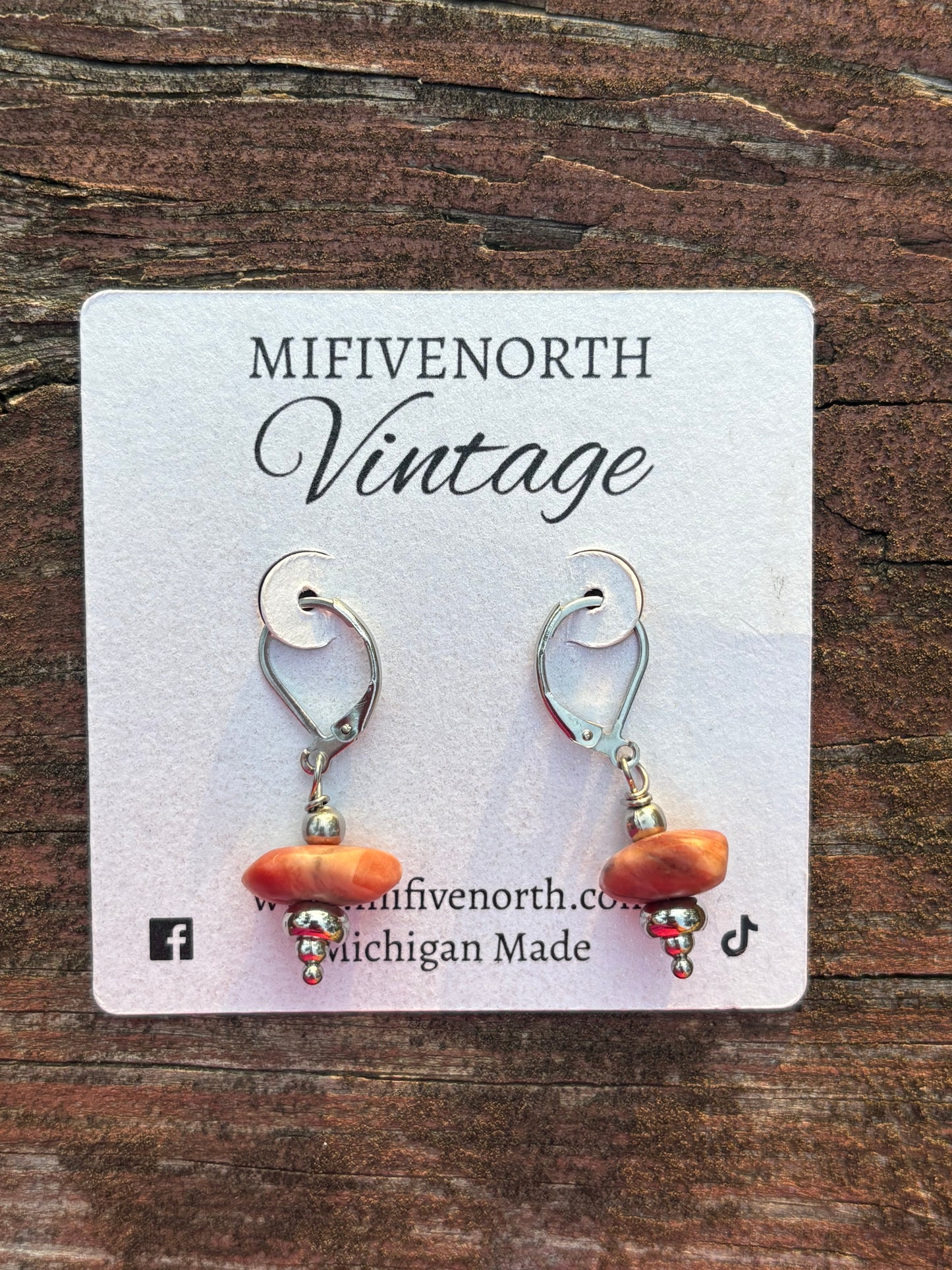 Michigan Kona Dolomite Stone & Stainless Steel Earrings