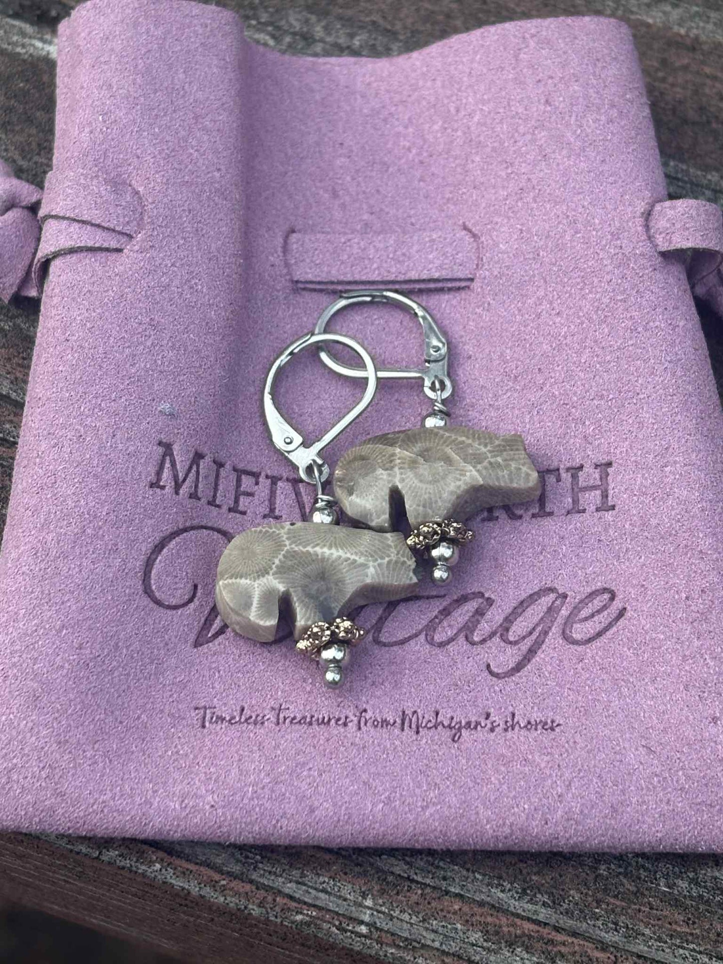 Petoskey Stone & Vintage Bronze Bead Earrings – Stainless Steel Leverbacks