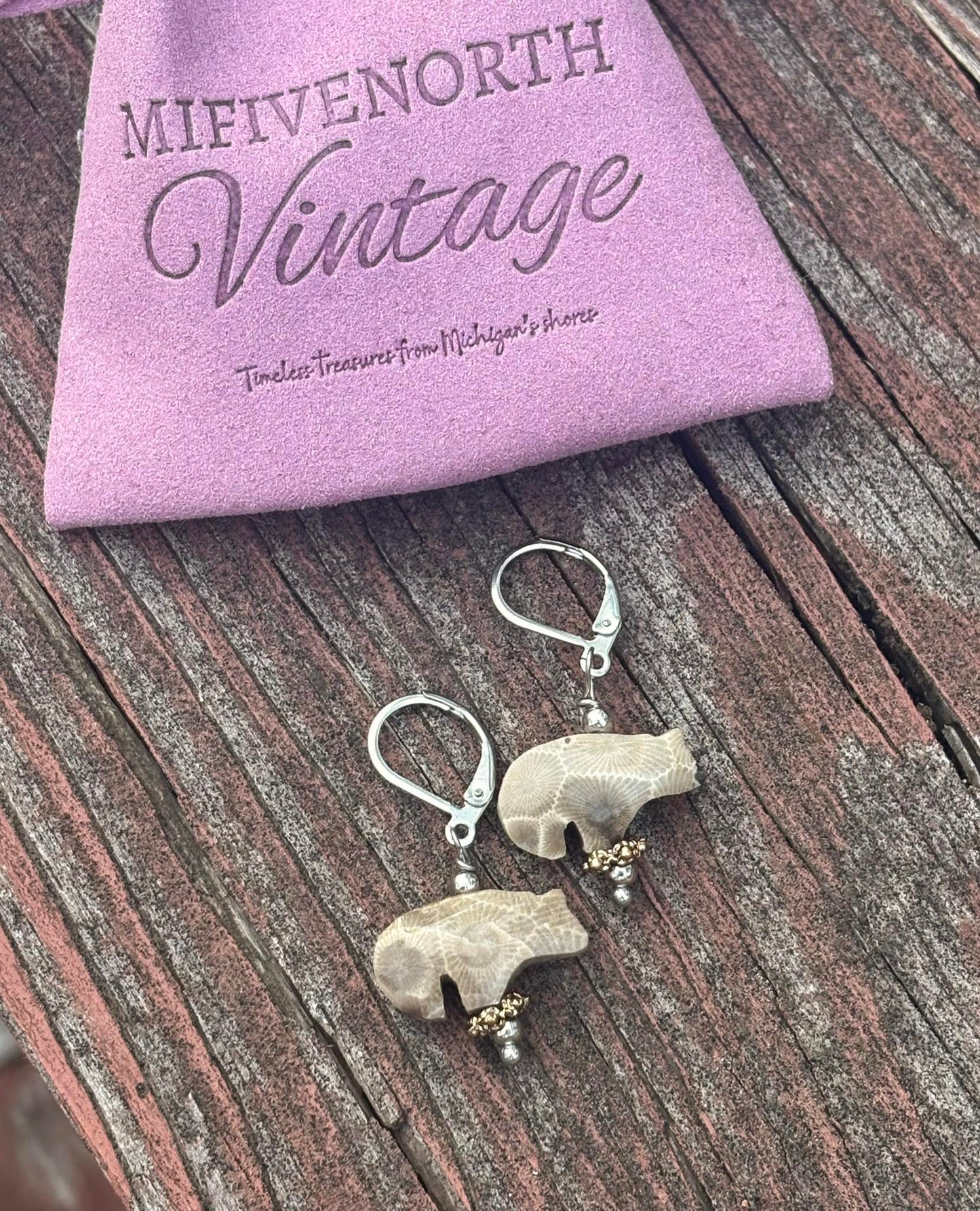 Petoskey Stone & Vintage Bronze Bead Earrings – Stainless Steel Leverbacks